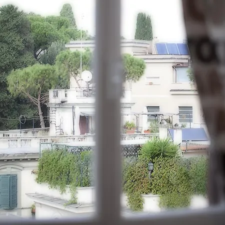 Luxury Domus Amadeus *